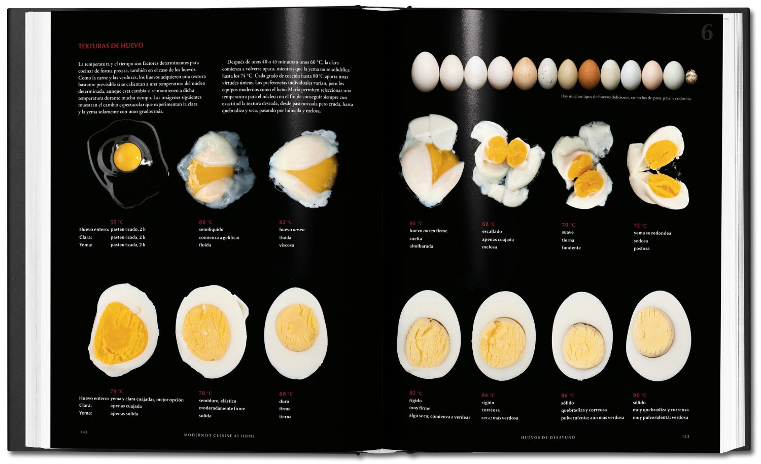 huevos-cocina-modernista
